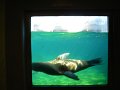 zoo 019